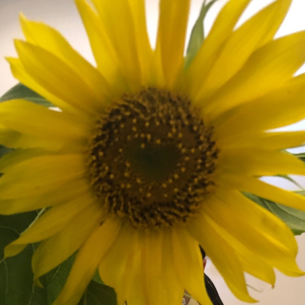 Meet your Posher, Katherine